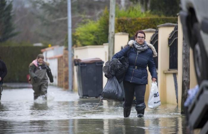 Sena y Marne en alerta naranja por la importante crecida del río Grand Morin