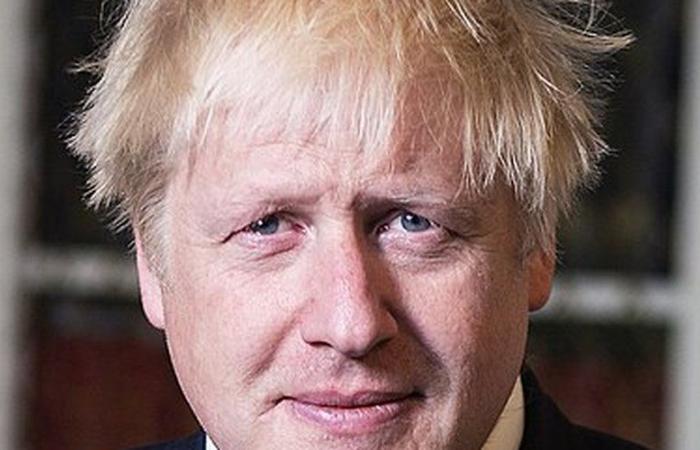 cuando el ex primer ministro británico Boris Johnson consideró una “incursión marítima” en Holanda para robar vacunas