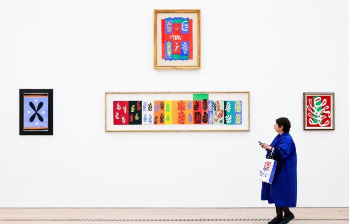 “Matisse es una de nuestras exposiciones más queridas”