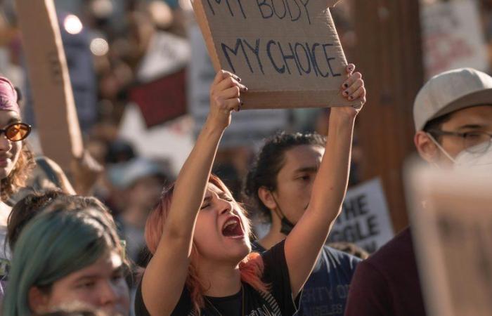 Toulouse, París, Lille, Lyon… Con motivo del Día Mundial del Aborto, se celebraron varios actos en toda Francia