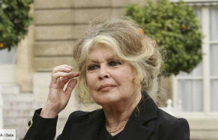 Brigitte Bardot tiene 90 años, sus secretos: “Tengo miedo del 28 de septiembre…”