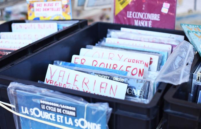 encuentro con 3 vendedores de libros apasionados, con sede en Estrasburgo