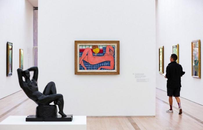 “Matisse es una de nuestras exposiciones más queridas”