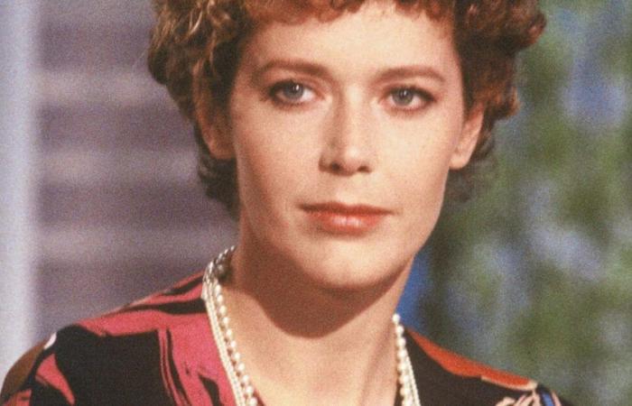 Emmanuelle, la actriz de la película de culto Sylvia Kristel, mantuvo una relación con un reconocido actor: una relación infernal