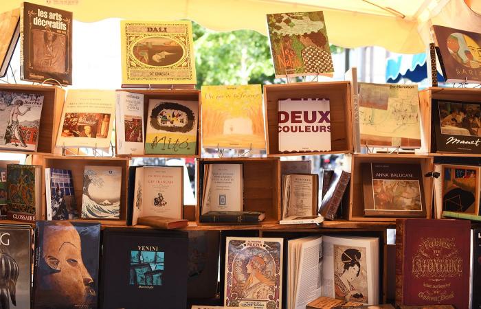 encuentro con 3 vendedores de libros apasionados, con sede en Estrasburgo