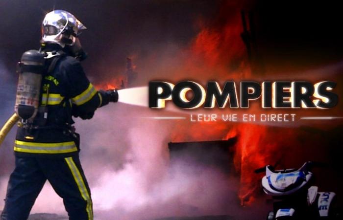 Bomberos: viven su vida – Agresión – Bomberos: viven su vida