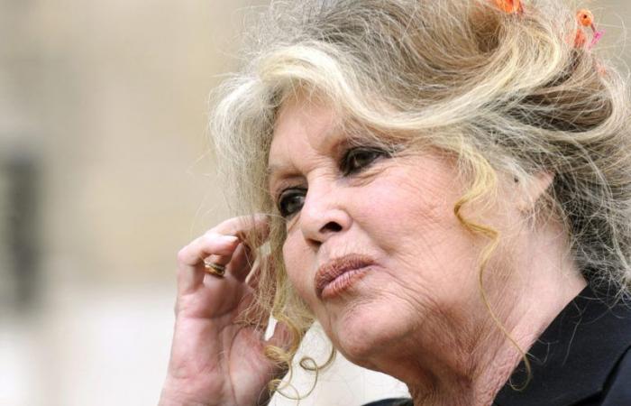 Saint-Tropez celebra el 90 cumpleaños de Brigitte Bardot, “muy feliz” con el homenaje