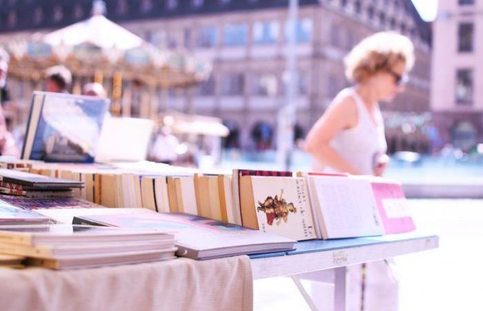 encuentro con 3 vendedores de libros apasionados, con sede en Estrasburgo