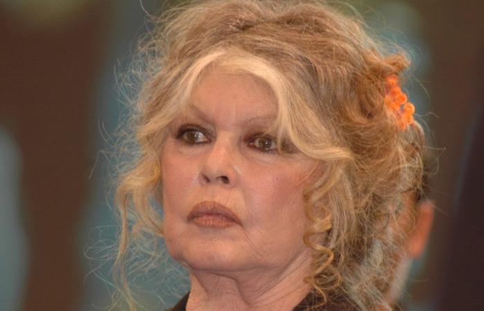 Brigitte Bardot celebra su 90 cumpleaños, un cumpleaños que “teme”