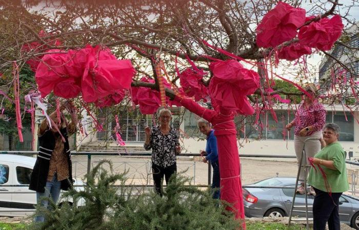 “Comprometidos porque están afectados directa o indirectamente por el cáncer”, los voluntarios escuchan a la Liga contra el Cáncer de Bagnols-sur-Cèze