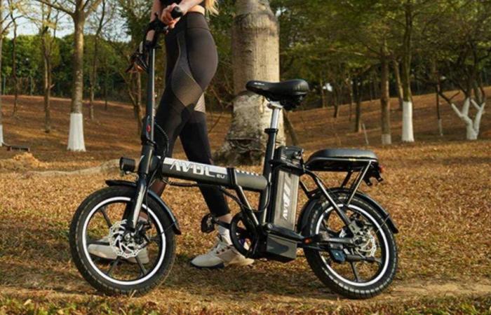 Esta bicicleta eléctrica con una autonomía de 70 km aplana su precio de cara al final de las Jornadas Francesas