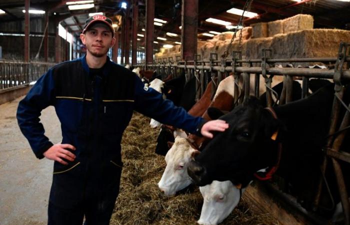 En los Vosgos, la consternación de los productores lácteos ante la retirada de Lactalis