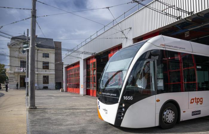 Conductores de autobús: la salud en riesgo