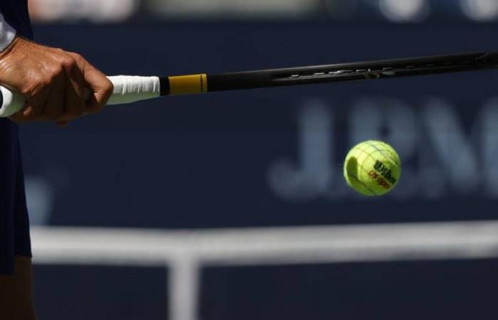 Cuotas de apuestas y vistas previas de partidos del Rakuten Japan Open Tennis Championships para el 29 de septiembre de 2024, individuales masculinos