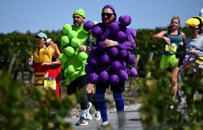 My Médoc Marathon, la carrera que sólo los franceses pudieron inventar