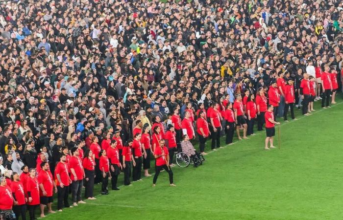 Nueva Zelanda | Un nuevo récord mundial para la haka masiva más grande