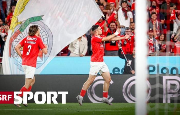 Noticias internacionales de fútbol – Amdouni marca por primera vez para el Benfica – Sport