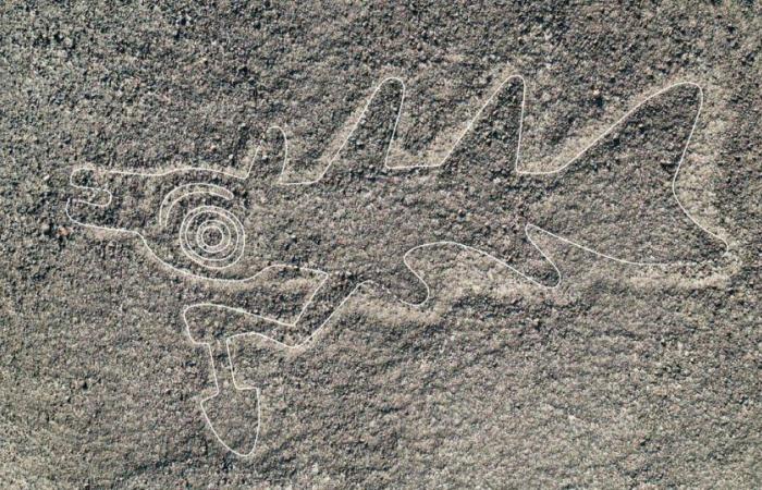 300 geoglifos de Nazca descubiertos mediante inteligencia artificial