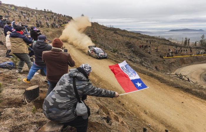 La reacción de Sébastien Ogier tras su accidente en Chile