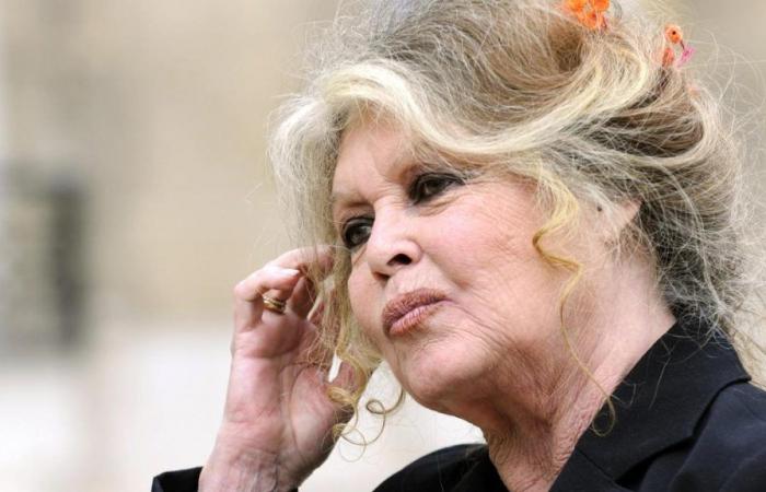 El pedido de Brigitte Bardot por su 90 cumpleaños