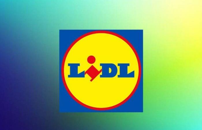 Las últimas ofertas de Lidl durante los French Days 2024