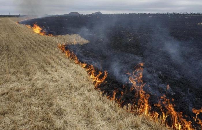 “En el terreno hay cientos de cadáveres rusos, pero continúan atacando” – rts.ch