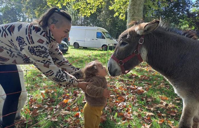 Maloë, 16 meses, aprendió a caminar en los pastos de verano