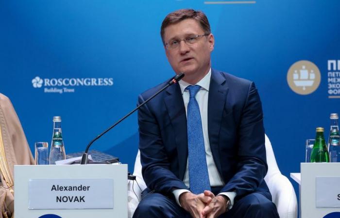 El viceprimer ministro ruso, Alexander Novak, cree que la volatilidad de los precios del petróleo disminuirá a pesar de los disturbios en Oriente Medio