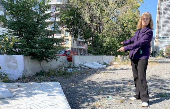 A la espera de la REM, un futuro parque adquiere la apariencia de un vertedero y un vertedero al aire libre