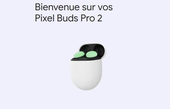 Pixel Buds controlables directamente desde Windows y MacOS