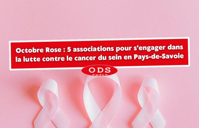 5 asociaciones para implicarse en la lucha contra el cáncer de mama en Pays-de-Savoie