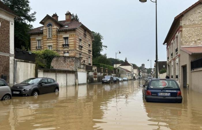 ¿Se reconoce que su ciudad se encuentra en estado de desastre natural?