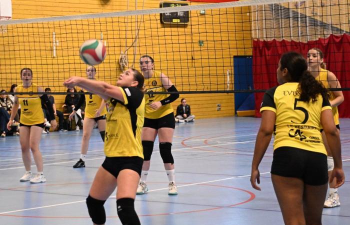 Las mujeres de Le Creusot derrotadas por el Sochaux – Beaucourt