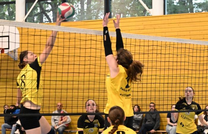 Las mujeres de Le Creusot derrotadas por el Sochaux – Beaucourt