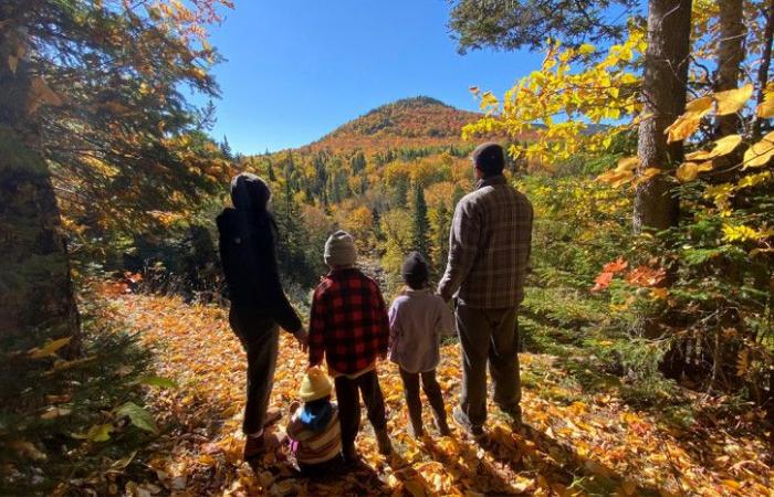 Un día económico al aire libre para disfrutar de los colores del otoño en familia