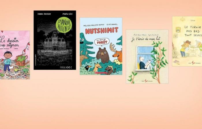 La literatura infantil de Montreal en el punto de mira — Revue Les libraires