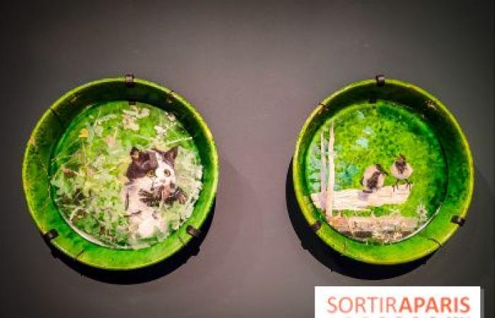 La exposición poética se revela en imágenes en el Petit Palais