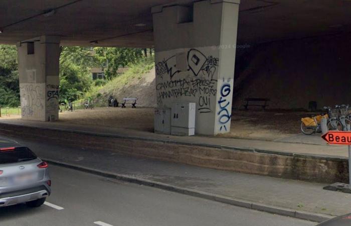 Un parque de patinaje debería ver la luz bajo el viaducto Herrmann-Debroux.