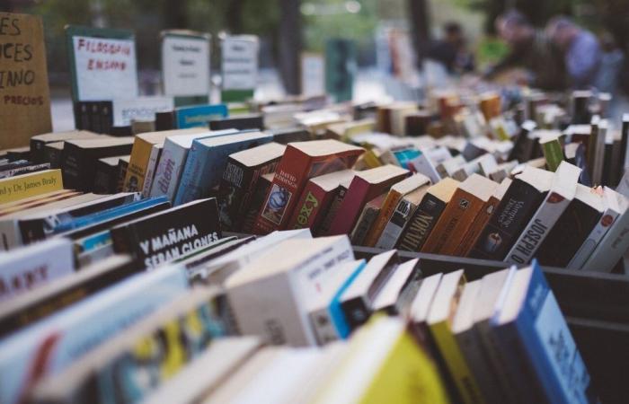 Venta de libros a 1 euro cada uno en la Biblioteca Departamental de Vendée