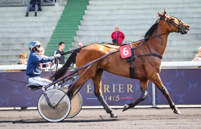 Lunes Quinté+ en Enghien – Prix d’Egletons, la apuesta Jolie Star