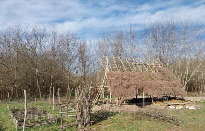 En Gironda, una catedral del siglo XI renace gracias a un centenar de voluntarios