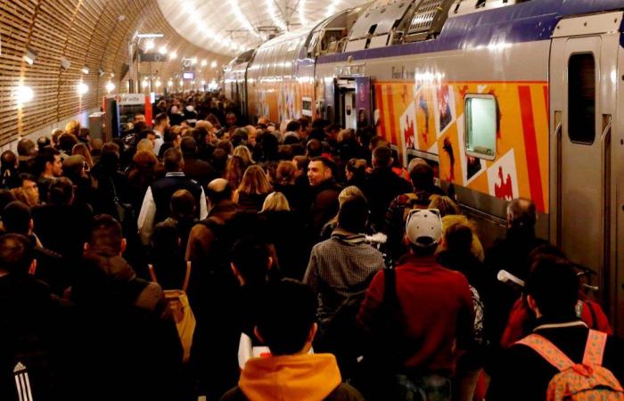 Una mujer muerta, una unidad psicológica creada, la estación acordonada… Actualización sobre el terrible accidente en la estación de Mónaco