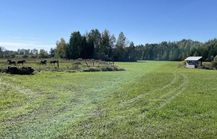 Agricultores de La Nación temen expropiación