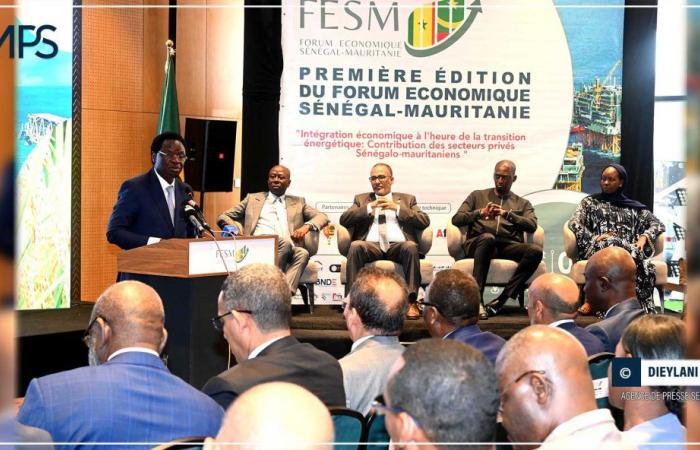 SENEGAL-ÁFRICA-COOPERACIÓN / Las exportaciones comerciales de Senegal a Mauritania aumentan de 39,7 a 112,8 mil millones en cuatro años (ministro) – agencia de prensa senegalesa