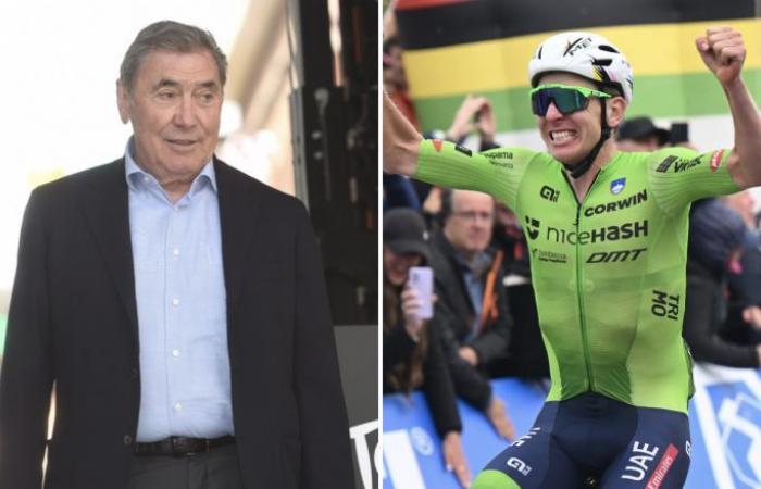 Ciclismo. Ruta – Mundial – Eddy Merckx: “¿Pogacar? Yo no ataqué a 100 km”