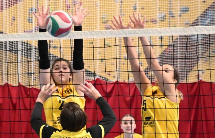 Las mujeres de Le Creusot derrotadas por el Sochaux – Beaucourt