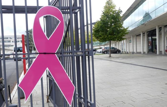 Información del recorrido | Octubre rosa 2024: ¿qué hemos planeado en Touraine?