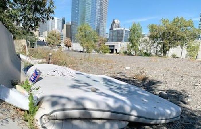 A la espera de la REM, un futuro parque adquiere la apariencia de un vertedero y un vertedero al aire libre