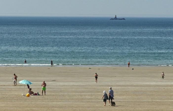 Ocurre un dramático accidente en una playa concurrida: “Rara vez he visto eso…”