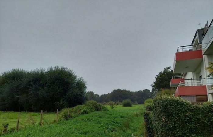 Por este motivo se cancela la construcción de cerca de 100 viviendas en este municipio del Loira Atlántico